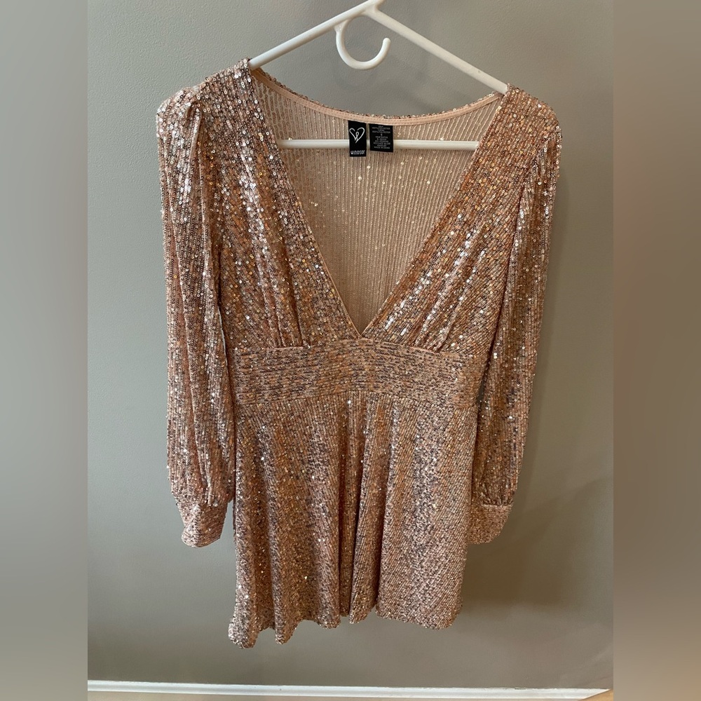 Windsor Shimmering Sequin Dress